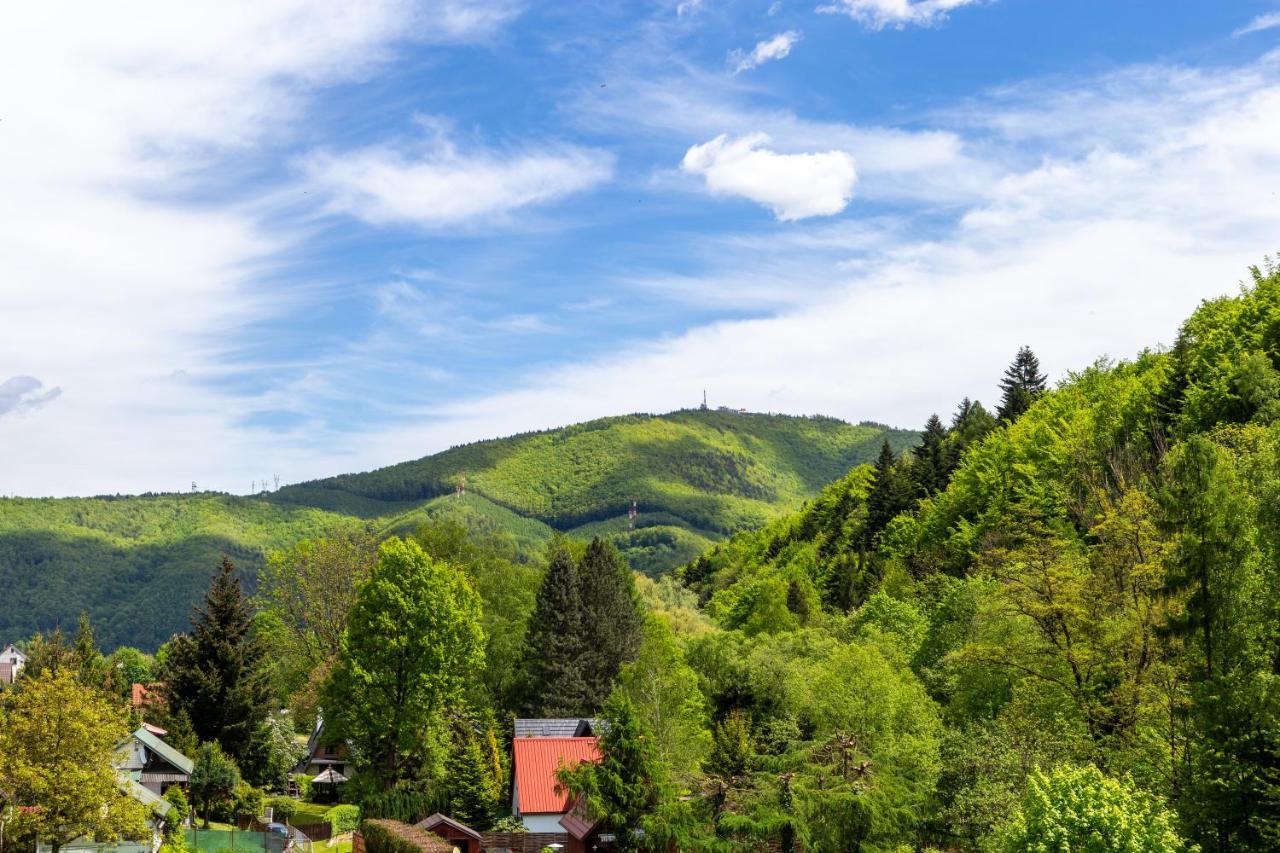 Отель Osrodek Nad Wodospadem Мендзыбродзе-Бяльске Экстерьер фото